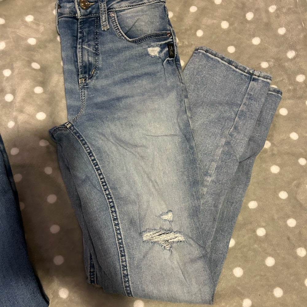 Silver Jeans Avery Straight